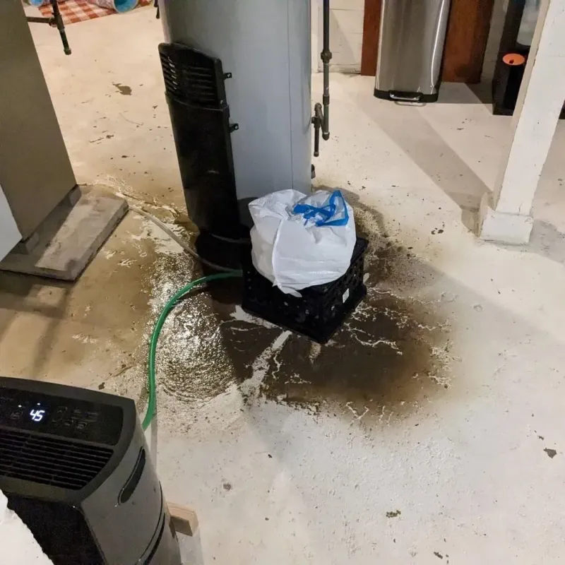 Sewage Backup Cleanup Service in Carson, CA